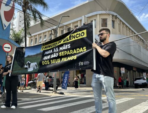 Impacto da ação nacional pelo Dia das Mães nos semáforos pelo Brasil