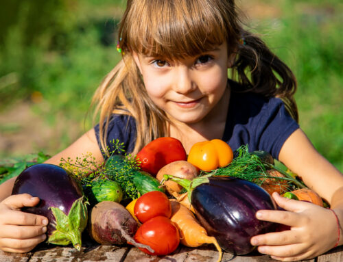 Sociedade Vegetariana Brasileira (SVB) lança um parecer sobre segurança alimentar na infância