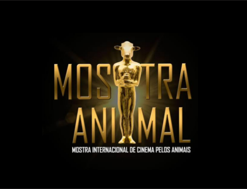 Florianópolis sedia a 10ª Mostra Internacional de Cinema pelos Animais em setembro