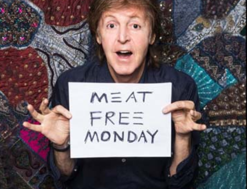 Paul McCartney e Segunda Sem Carne: uma parceria em prol do planeta chega ao Brasil em outubro