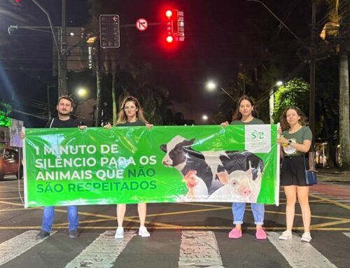 Ação pelo Dia Mundial do Veganismo mobiliza voluntários da SVB em semáforos pelo Brasil