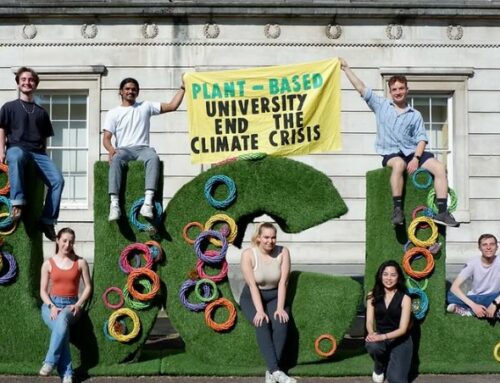 Revolução vegana nas universidades: Mitigando as mudanças climáticas