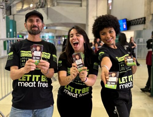 Ativismo que acontece nas ruas: a força dos voluntários da SVB que levam as campanhas para além da internet