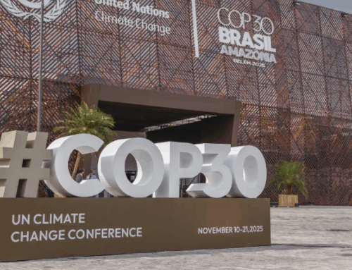 COP 30 e a questão alimentar