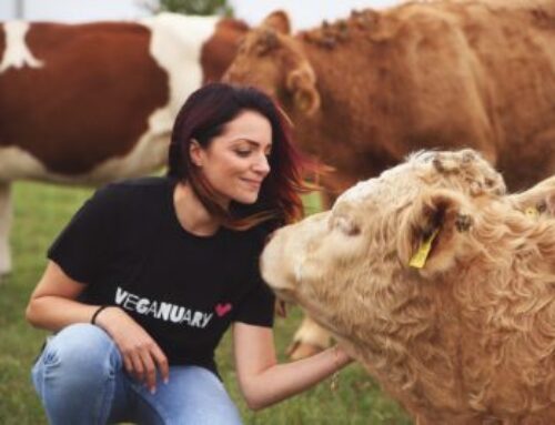 Veganuary convida brasileiros a começar 2026 com hábitos mais leves