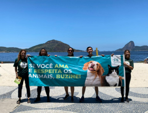 Ação em semáforos marcou o Mês do Veganismo em cidades brasileiras