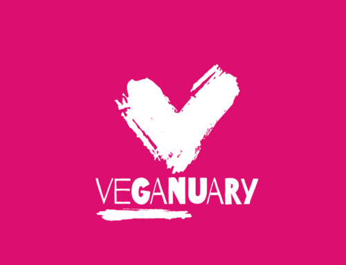 Veganuary: um convite para a transição climática