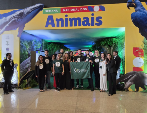 Semana Nacional dos Animais: o que aconteceu e qual foi o papel da SVB